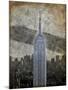 New York II-Art Roberts-Mounted Art Print