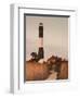 New York, Long Island, Fire Island, Robert Moses State Park, Fire Island Lighthouse, USA-Walter Bibikow-Framed Photographic Print