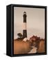 New York, Long Island, Fire Island, Robert Moses State Park, Fire Island Lighthouse, USA-Walter Bibikow-Framed Stretched Canvas
