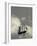 New York, Long Island, Greenport, Tall Ship Weather Vane, USA-Walter Bibikow-Framed Photographic Print