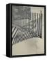 New York, Long Island, the Hamptons, Westhampton Beach, Beach Erosion Fence, USA-Walter Bibikow-Framed Stretched Canvas