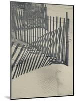 New York, Long Island, the Hamptons, Westhampton Beach, Beach Erosion Fence, USA-Walter Bibikow-Mounted Photographic Print