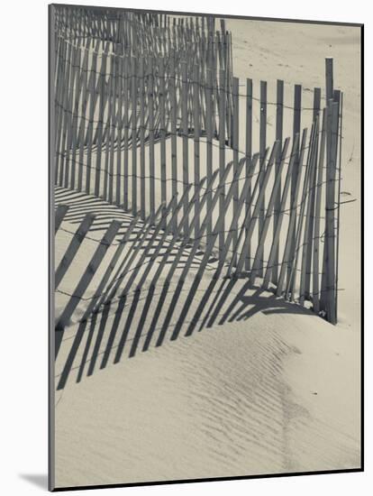 New York, Long Island, the Hamptons, Westhampton Beach, Beach Erosion Fence, USA-Walter Bibikow-Mounted Photographic Print