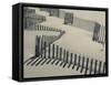 New York, Long Island, the Hamptons, Westhampton Beach, Beach Erosion Fence, USA-Walter Bibikow-Framed Stretched Canvas