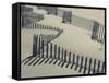 New York, Long Island, the Hamptons, Westhampton Beach, Beach Erosion Fence, USA-Walter Bibikow-Framed Stretched Canvas