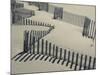 New York, Long Island, the Hamptons, Westhampton Beach, Beach Erosion Fence, USA-Walter Bibikow-Mounted Photographic Print