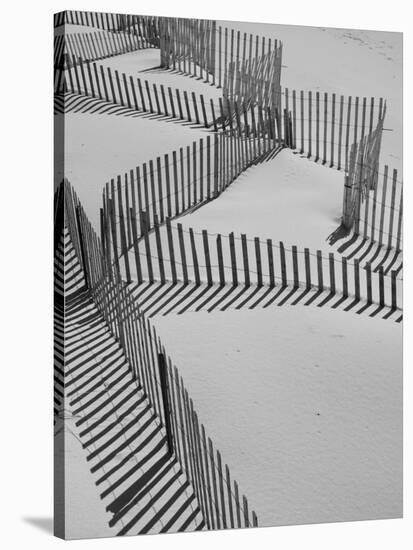 New York, Long Island, the Hamptons, Westhampton Beach, Beach Erosion Fence, USA-Walter Bibikow-Stretched Canvas