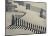 New York, Long Island, the Hamptons, Westhampton Beach, Beach Erosion Fence, USA-Walter Bibikow-Mounted Photographic Print