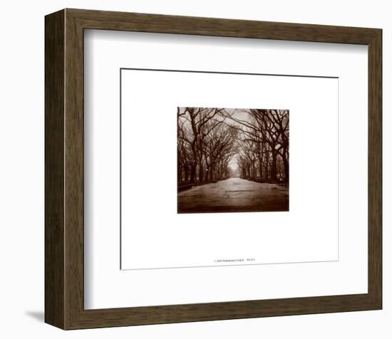 New York, New York, Central Park-Walter Gritsik-Framed Art Print