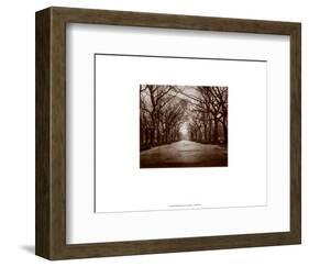 New York, New York, Central Park-Walter Gritsik-Framed Art Print