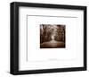 New York, New York, Central Park-Walter Gritsik-Framed Art Print