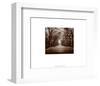 New York, New York, Central Park-Walter Gritsik-Framed Art Print