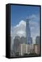 New York, New York City. Downtown City Skyline with the Freedom Tower-Cindy Miller Hopkins-Framed Stretched Canvas