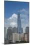 New York, New York City. Downtown City Skyline with the Freedom Tower-Cindy Miller Hopkins-Mounted Photographic Print