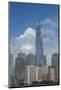 New York, New York City. Downtown City Skyline with the Freedom Tower-Cindy Miller Hopkins-Mounted Photographic Print