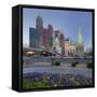 New York New York Hotel, Strip, Las Vegas Boulevard, Las Vegas, Nevada, Usa-Rainer Mirau-Framed Stretched Canvas