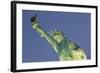 New York New York Hotel, the Statue of Liberty, Strip, Las Vegas, Nevada, Usa-Rainer Mirau-Framed Photographic Print