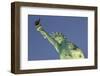 New York New York Hotel, the Statue of Liberty, Strip, Las Vegas, Nevada, Usa-Rainer Mirau-Framed Photographic Print