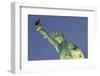 New York New York Hotel, the Statue of Liberty, Strip, Las Vegas, Nevada, Usa-Rainer Mirau-Framed Photographic Print