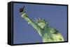 New York New York Hotel, the Statue of Liberty, Strip, Las Vegas, Nevada, Usa-Rainer Mirau-Framed Stretched Canvas