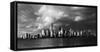 NEW YORK, NEW YORK, USA - New York City Spectacular Sunset fin black and white focuses on One Wo...-Panoramic Images-Framed Stretched Canvas