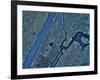 New York, New York-Stocktrek Images-Framed Photographic Print