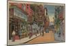 New York, NY - View of Chinatown Shops-Lantern Press-Mounted Art Print