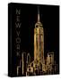 New York on Black-Nicholas Biscardi-Stretched Canvas