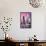 New York Pink-Philippe Hugonnard-Framed Stretched Canvas displayed on a wall