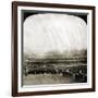 New York: Polo Grounds-null-Framed Giclee Print