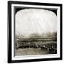 New York: Polo Grounds-null-Framed Giclee Print