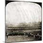 New York: Polo Grounds-null-Mounted Giclee Print