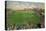 New York Polo Grounds-New York Lithograph Co-Stretched Canvas