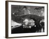 New York Pond in Winter-Bettmann-Framed Premium Photographic Print