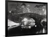 New York Pond in Winter-Bettmann-Framed Photographic Print