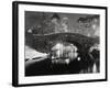 New York Pond in Winter-Bettmann-Framed Photographic Print