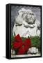 New York Public Library Lion Decorated with a Christmas Wreath during the Holidays.-Jon Hicks-Framed Stretched Canvas