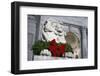 New York Public Library Lion Decorated with a Christmas Wreath during the Holidays.-Jon Hicks-Framed Photographic Print