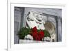 New York Public Library Lion Decorated with a Christmas Wreath during the Holidays.-Jon Hicks-Framed Photographic Print