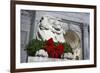 New York Public Library Lion Decorated with a Christmas Wreath during the Holidays.-Jon Hicks-Framed Photographic Print