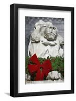 New York Public Library Lion Decorated with a Christmas Wreath during the Holidays.-Jon Hicks-Framed Photographic Print