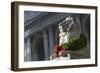 New York Public Library Lion Decorated with a Christmas Wreath during the Holidays.-Jon Hicks-Framed Photographic Print