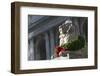 New York Public Library Lion Decorated with a Christmas Wreath during the Holidays.-Jon Hicks-Framed Photographic Print