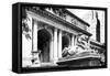 New York Public Library - Manhattan - United States-Philippe Hugonnard-Framed Stretched Canvas