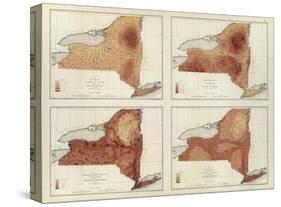 New York: Rainfall, Population, Elevation, Temperature, c.1895-Henry Gannett-Stretched Canvas