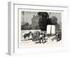 New York: Removal of the Pedestal of the Obelisk from the Wharf to the Site in Central Park-null-Framed Giclee Print