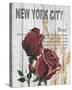 New York Roses-Alicia Soave-Stretched Canvas
