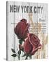 New York Roses-Alicia Soave-Stretched Canvas