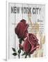 New York Roses-Alicia Soave-Framed Art Print