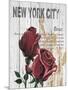 New York Roses-Alicia Soave-Mounted Art Print